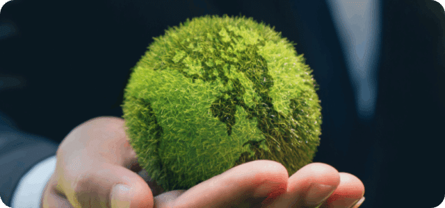 How Virtual Interns Make Tangible Impacts on Companies with Sustainable Missions