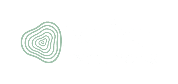 Salica Investments Logo